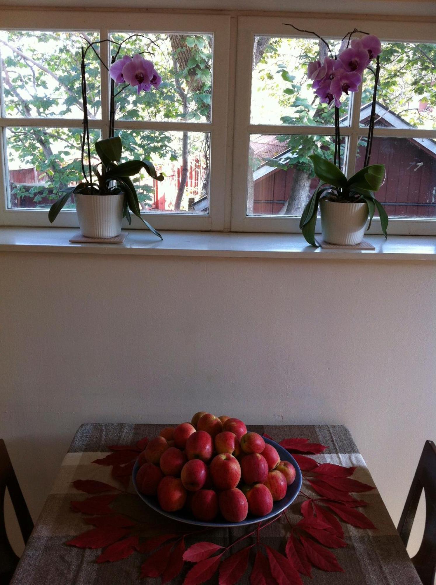 Stockholm B&B Cottage Nacka Pokoj fotografie