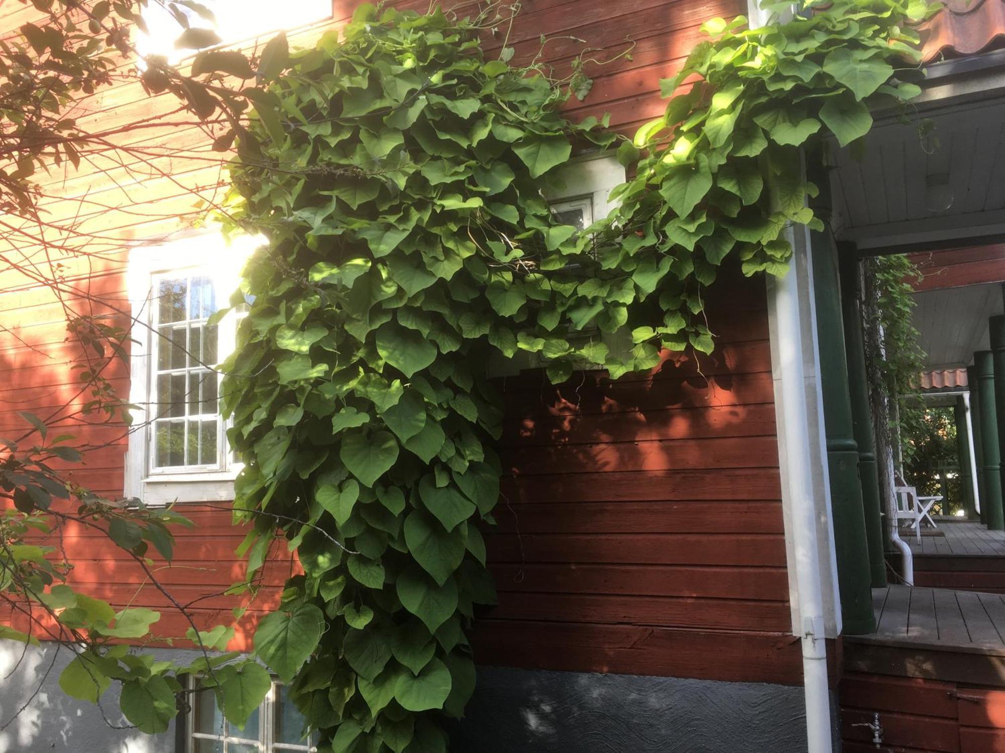 Stockholm B&B Cottage Nacka Pokoj fotografie