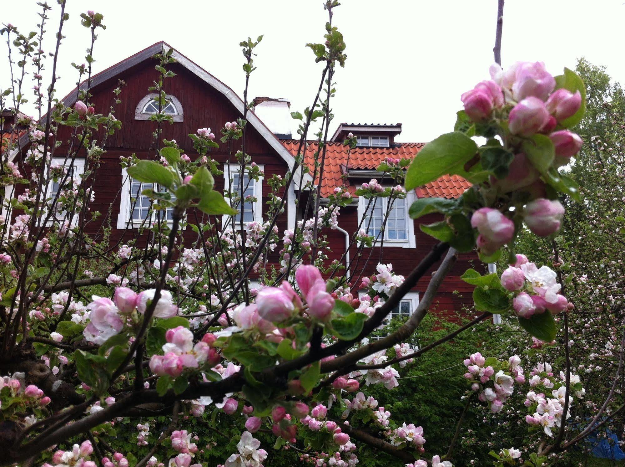 Stockholm B&B Cottage Nacka Exteriér fotografie